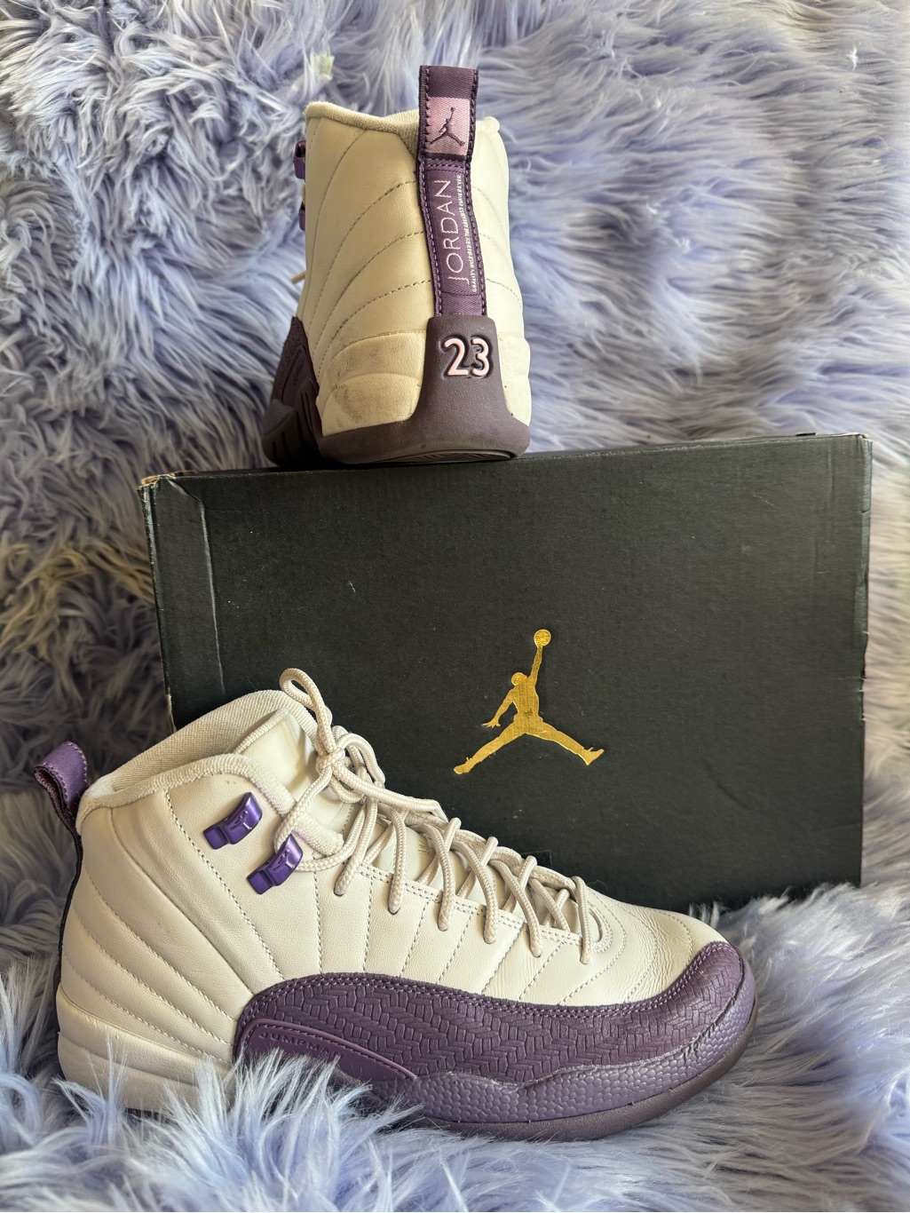 Air Jordan 12 Retro Desert Sand (Gs) Pro Purple